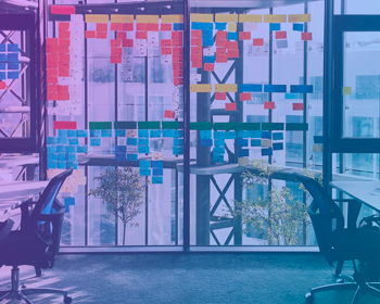 IOT development